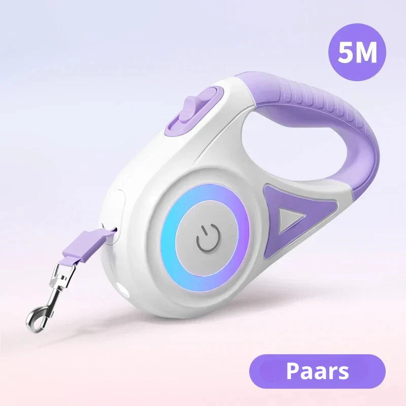 Dog Leash with Integrated LED Light