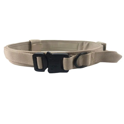 Adjustable Nylon Dog Collar with Strong Click Closure