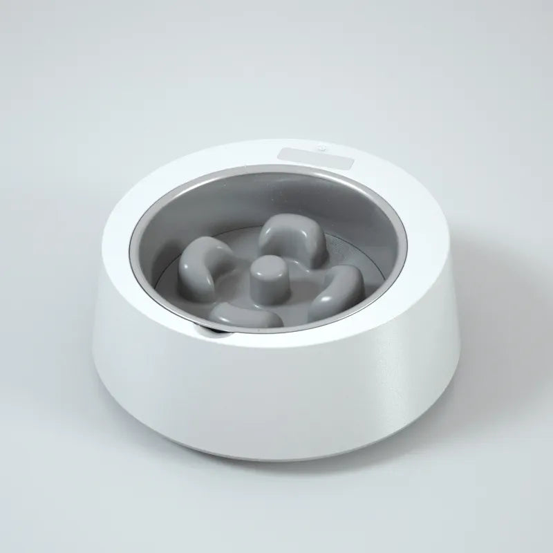 Automatic Food Dispenser for Dogs and Cats – Interactive Feeder with Digital Display