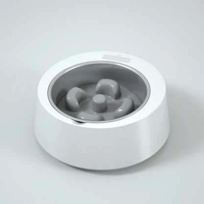 Automatic Food Dispenser for Dogs and Cats – Interactive Feeder with Digital Display