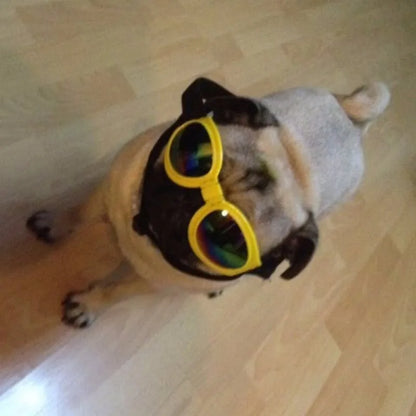 UV Protection Glasses for Dogs in 7 Colors