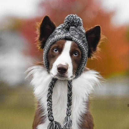 Stylish Dog Cap with Pom Pom – Warm Winter Hat for Small Dogs