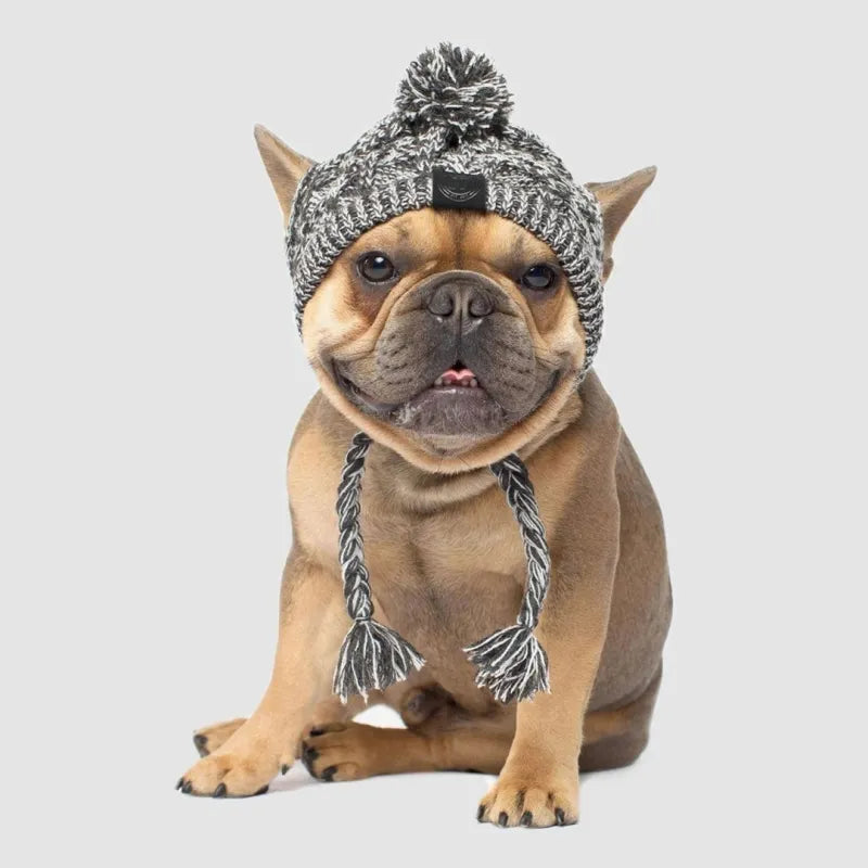 Stylish Dog Cap with Pom Pom – Warm Winter Hat for Small Dogs