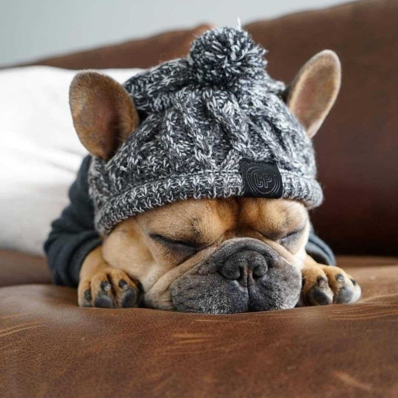 Stylish Dog Cap with Pom Pom – Warm Winter Hat for Small Dogs