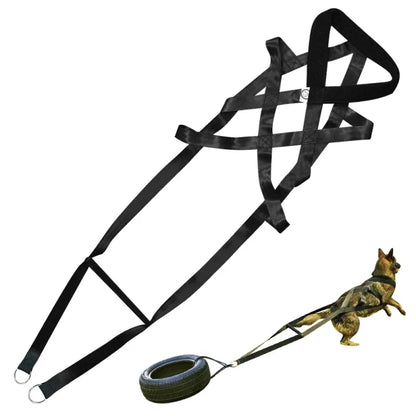 Dog Training Harness with Handles and Hoops – Durable and Adjustable