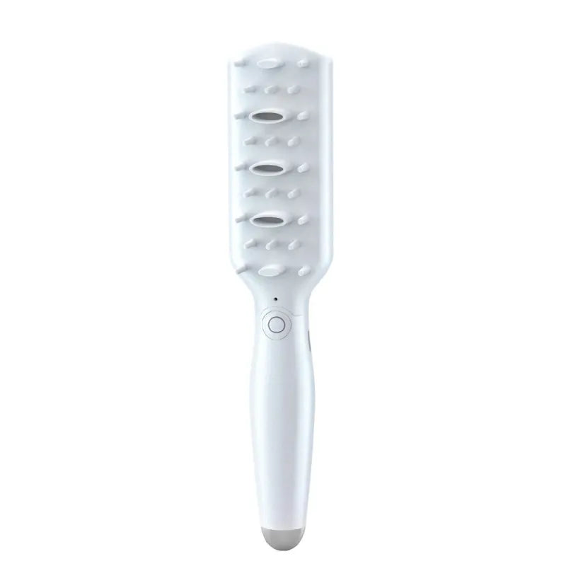 Electric Pet Massage Brush