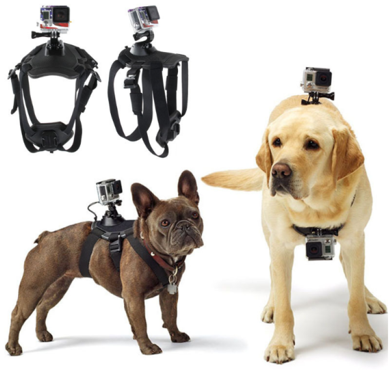 Action Camera Harness for Dogs with Chest and Back Mount Support