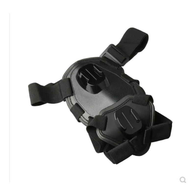 Action Camera Harness for Dogs with Chest and Back Mount Support