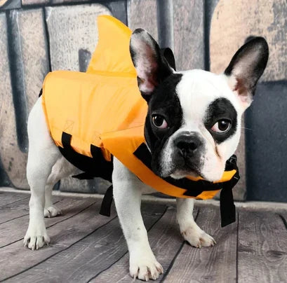 Dog Life Jacket