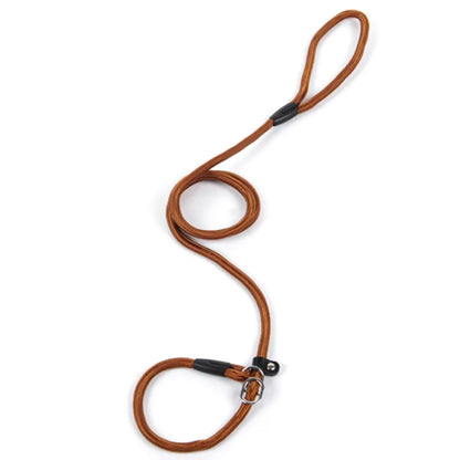 Durable Dog Leash with Carabiner for a Safe Walk