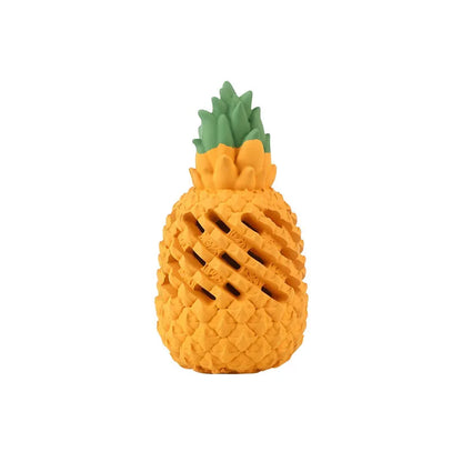 Rubber Fruit Dog Toy