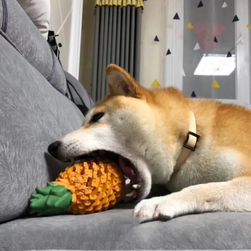 Rubber Fruit Dog Toy