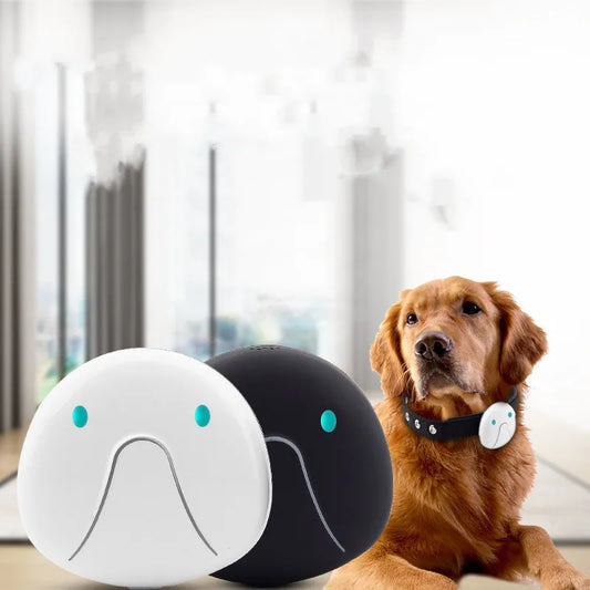 Dog Collar with GPS Tracker – Easy to Attach and Reliable