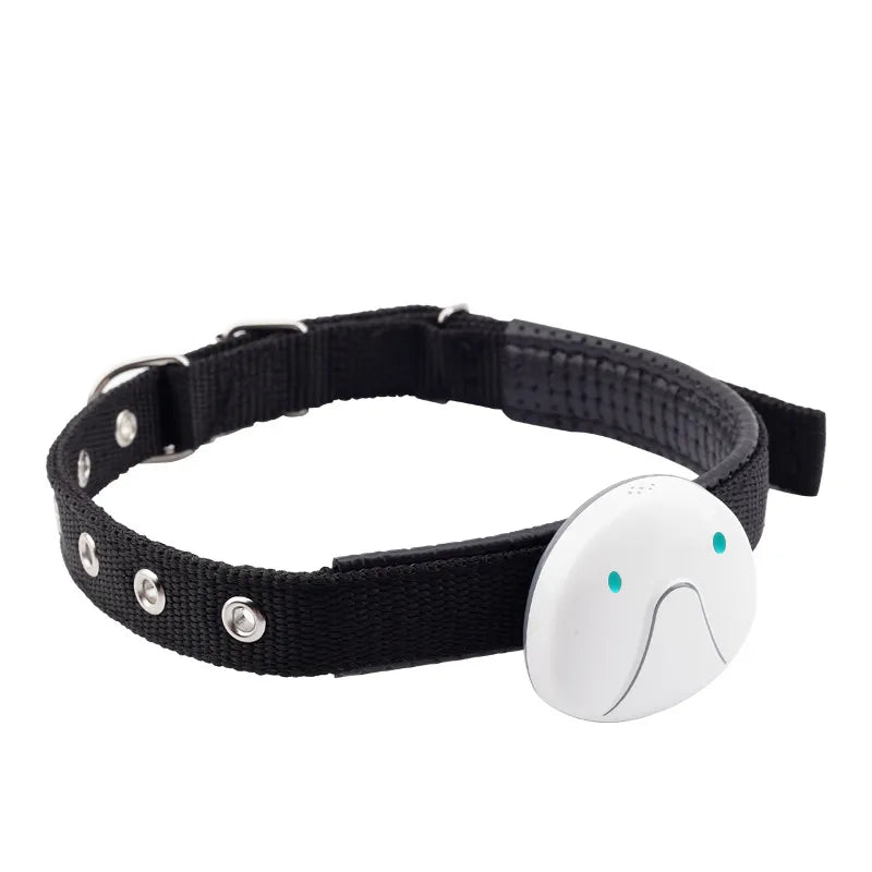 Dog Collar with GPS Tracker – Easy to Attach and Reliable