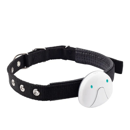 Dog Collar with GPS Tracker – Easy to Attach and Reliable