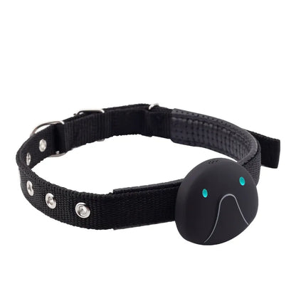 Dog Collar with GPS Tracker – Easy to Attach and Reliable