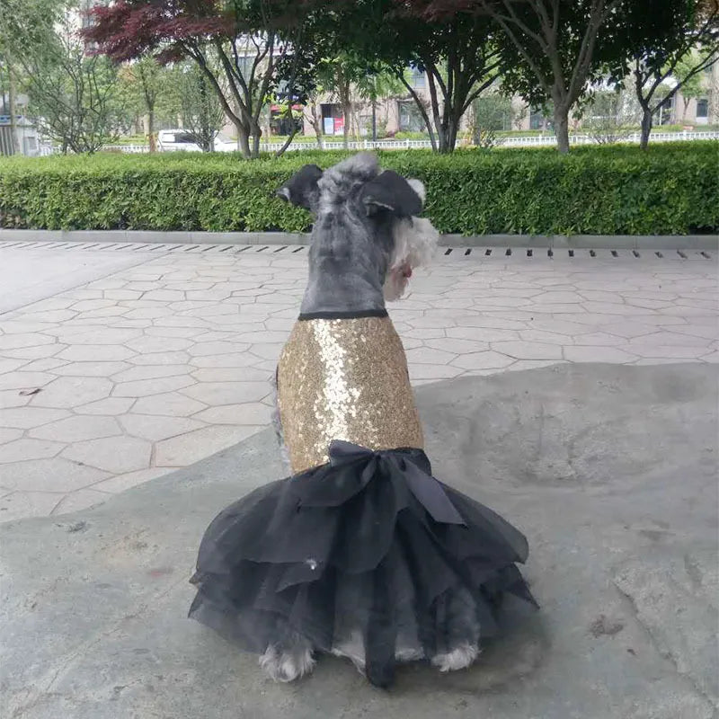 Elegant Dog Dress with Sequins and Tulle Skirt in 2 Colours