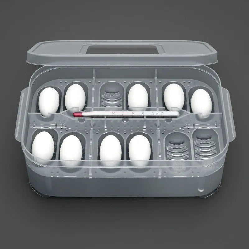 Practical Storage Box for Eggs and Small Items - with Thermometer and Divided Compartments