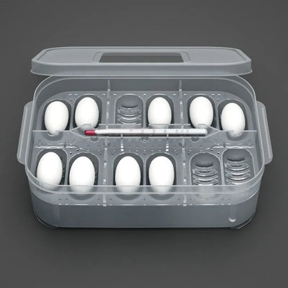 Practical Storage Box for Eggs and Small Items - with Thermometer and Divided Compartments