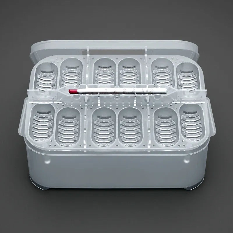 Practical Storage Box for Eggs and Small Items - with Thermometer and Divided Compartments