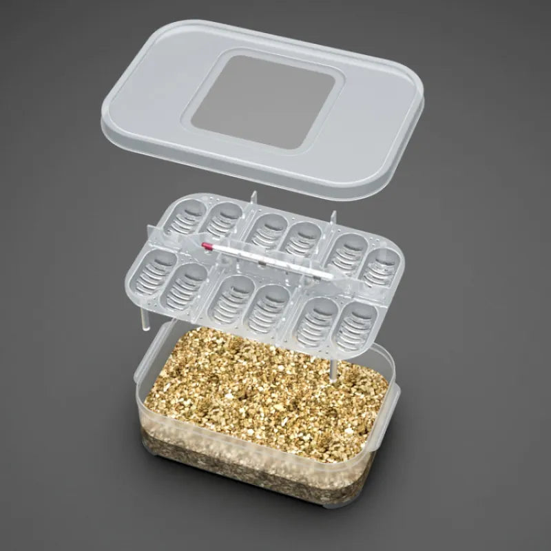 Practical Storage Box for Eggs and Small Items - with Thermometer and Divided Compartments