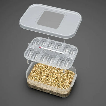 Practical Storage Box for Eggs and Small Items - with Thermometer and Divided Compartments