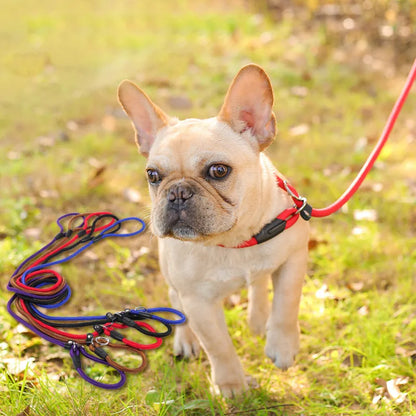 Durable Dog Leash with Carabiner for a Safe Walk