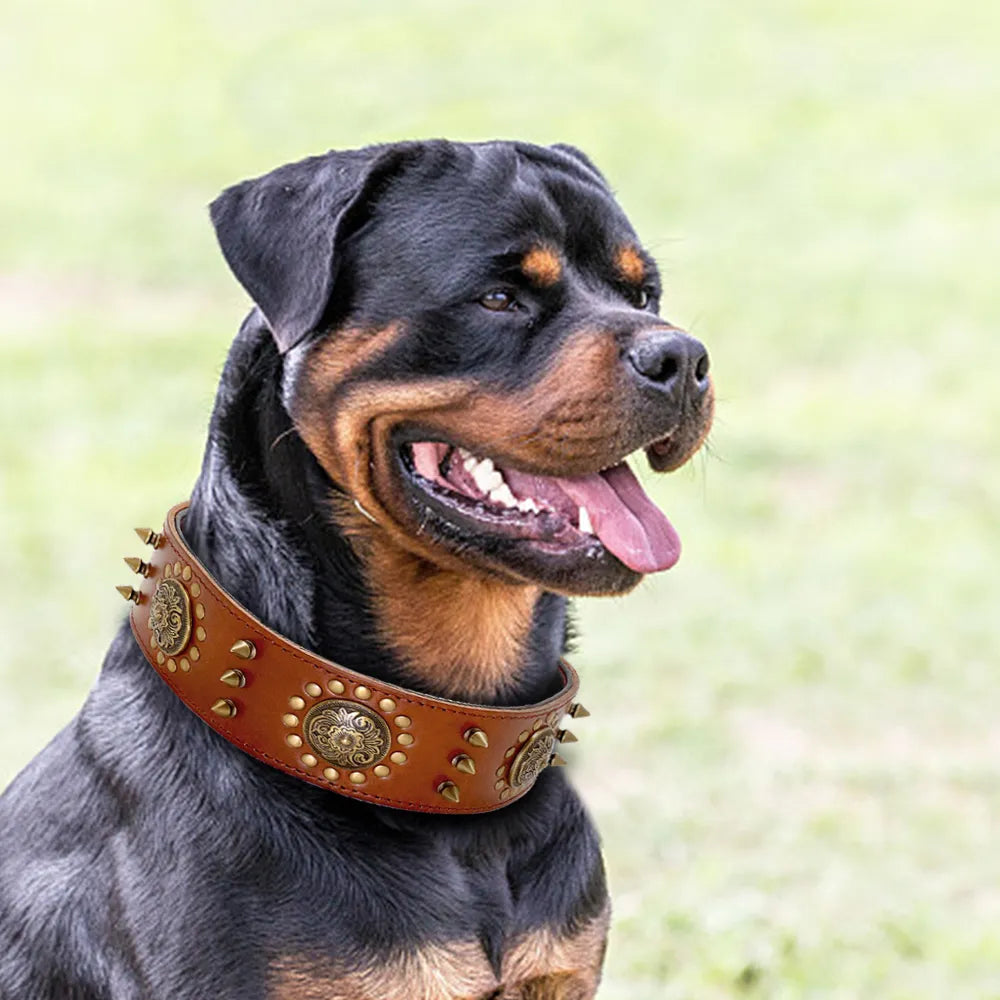Leather Dog Collar with Rivets and Metal Studs for Large Dogs