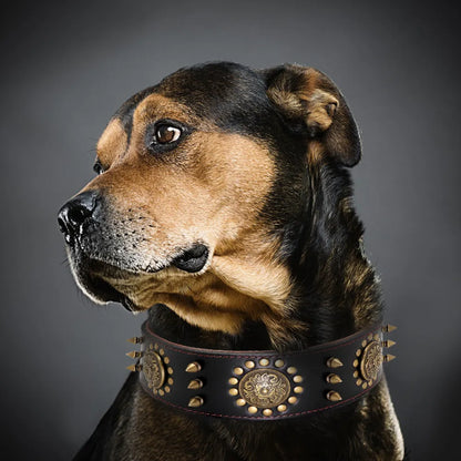 Leather Dog Collar with Rivets and Metal Studs for Large Dogs