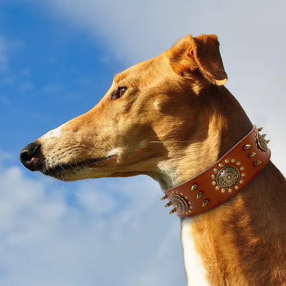 Leather Dog Collar with Rivets and Metal Studs for Large Dogs