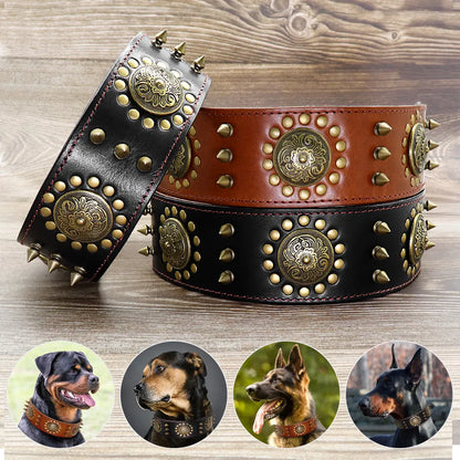 Leather Dog Collar with Rivets and Metal Studs for Large Dogs
