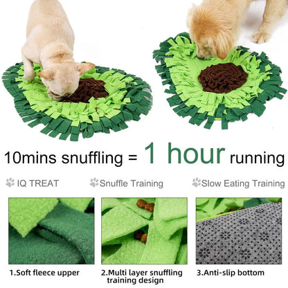 Petsors Ultimate Pet Surprise Bundle | 5 Random Items From 21 Premium Products | Dog & Cat Toys, Gadgets & Accessories
