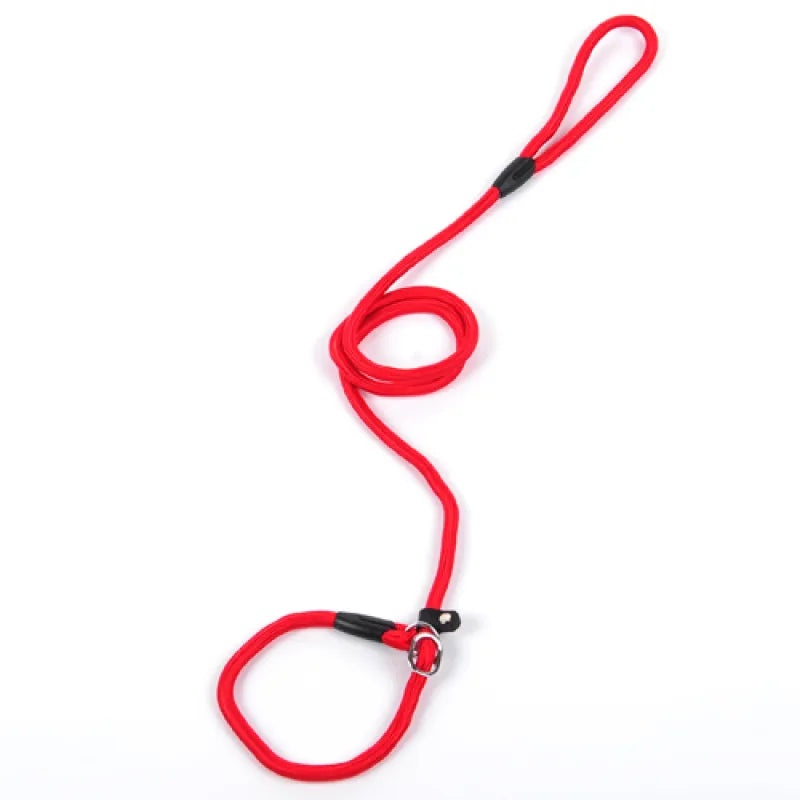 Durable Dog Leash with Carabiner for a Safe Walk