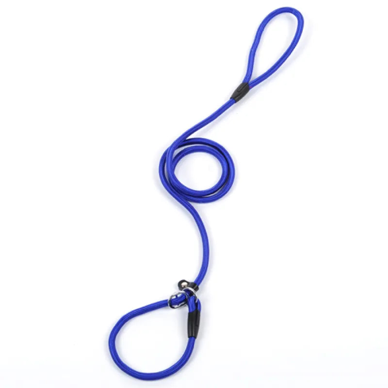 Durable Dog Leash with Carabiner for a Safe Walk