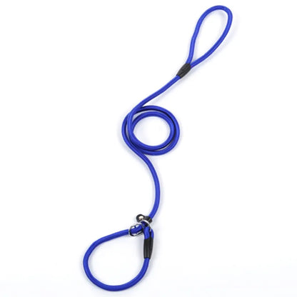 Durable Dog Leash with Carabiner for a Safe Walk
