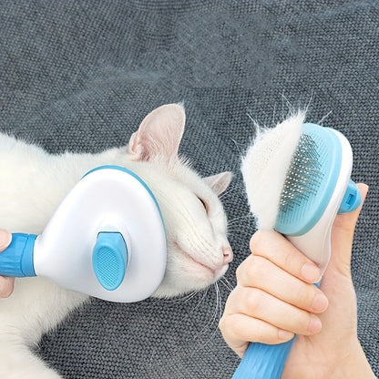 Practical and Simple Brush for Hair Removal