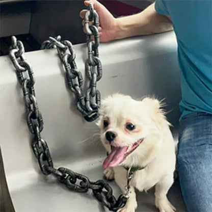Stylish and Fun Dog Leash