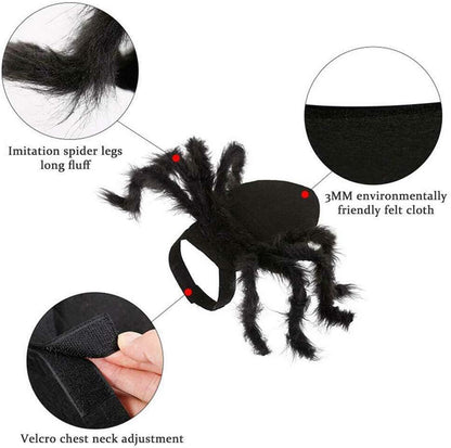 Fuzzy Spider Pet Costume