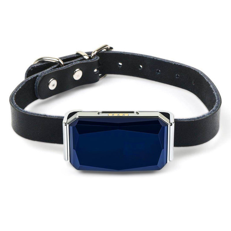 Rechargeable GPS Tracker for Dogs with Collar and USB