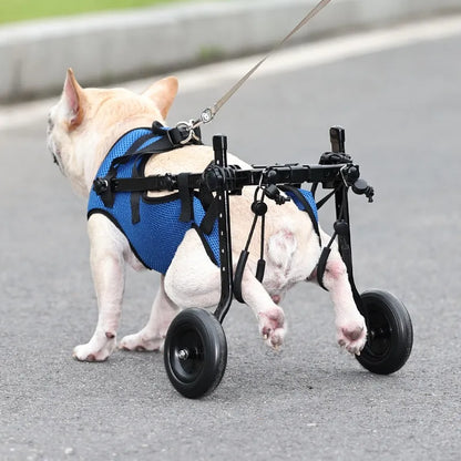 Mobility Aid for Cats and Dogs - Wheelchair for Mobility and Independence