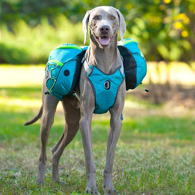 Dog Hiking Backpack with Waterproof Pockets - Portable Stretcher for Dogs for Outdoor Activities