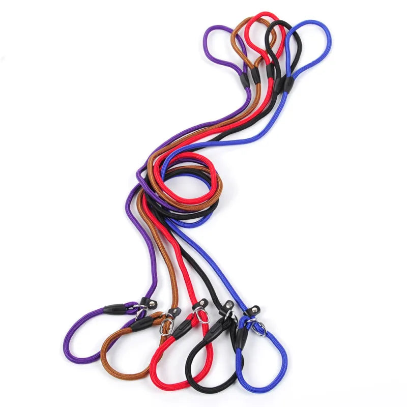 Durable Dog Leash with Carabiner for a Safe Walk
