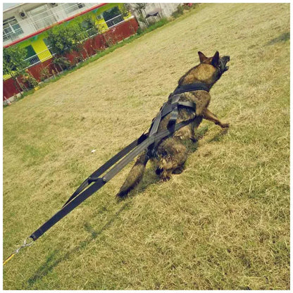 Dog Training Harness with Handles and Hoops – Durable and Adjustable