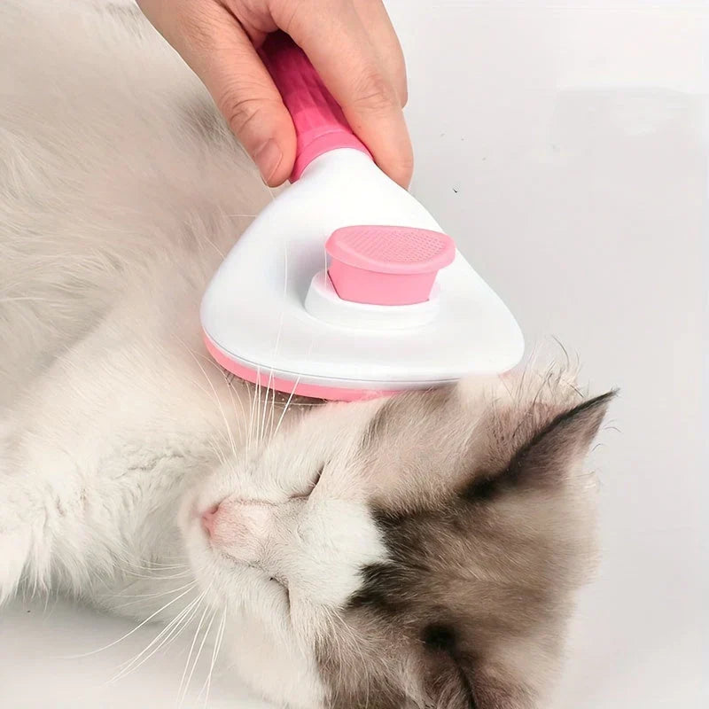 Practical and Simple Brush for Hair Removal