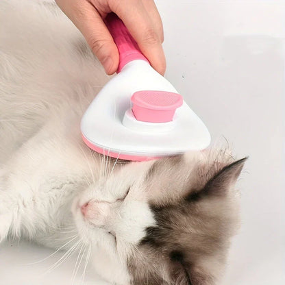 Practical and Simple Brush for Hair Removal