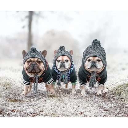 Stylish Dog Cap with Pom Pom – Warm Winter Hat for Small Dogs