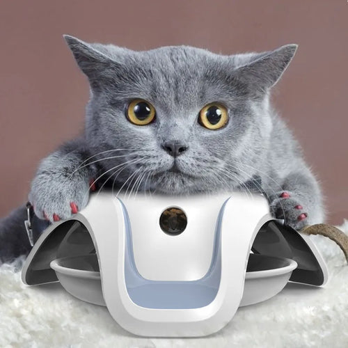 Interactive Pet Bowl – 3D Food Dispenser