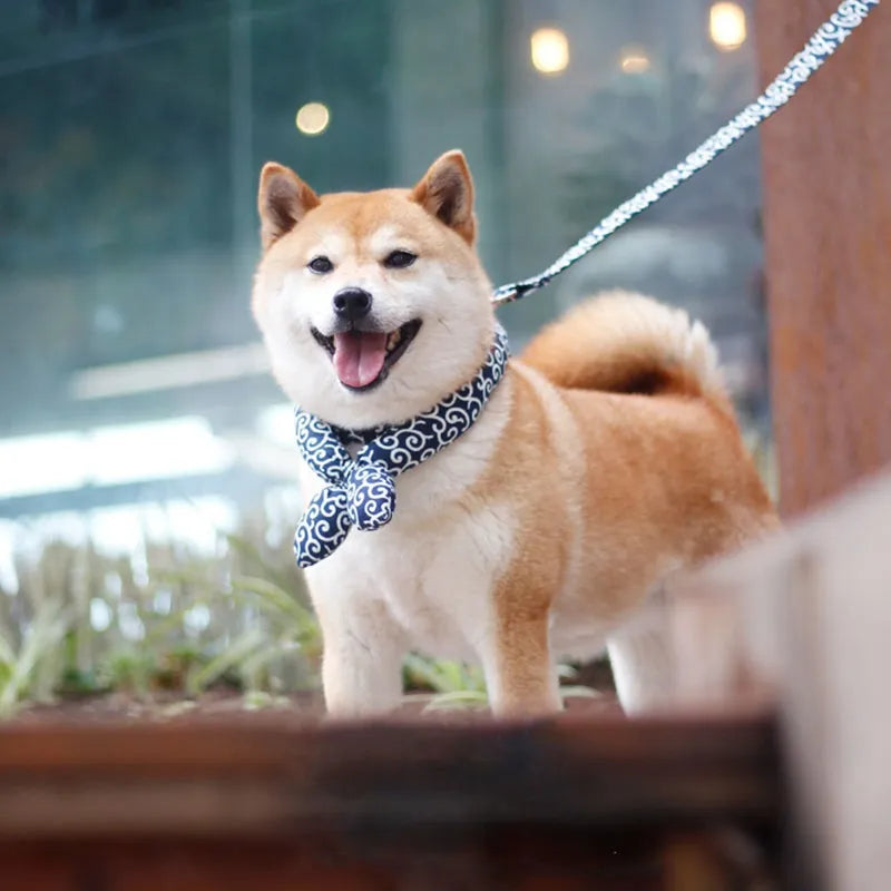 Cooling Dog Collar with Traditional Pattern for Hot Days