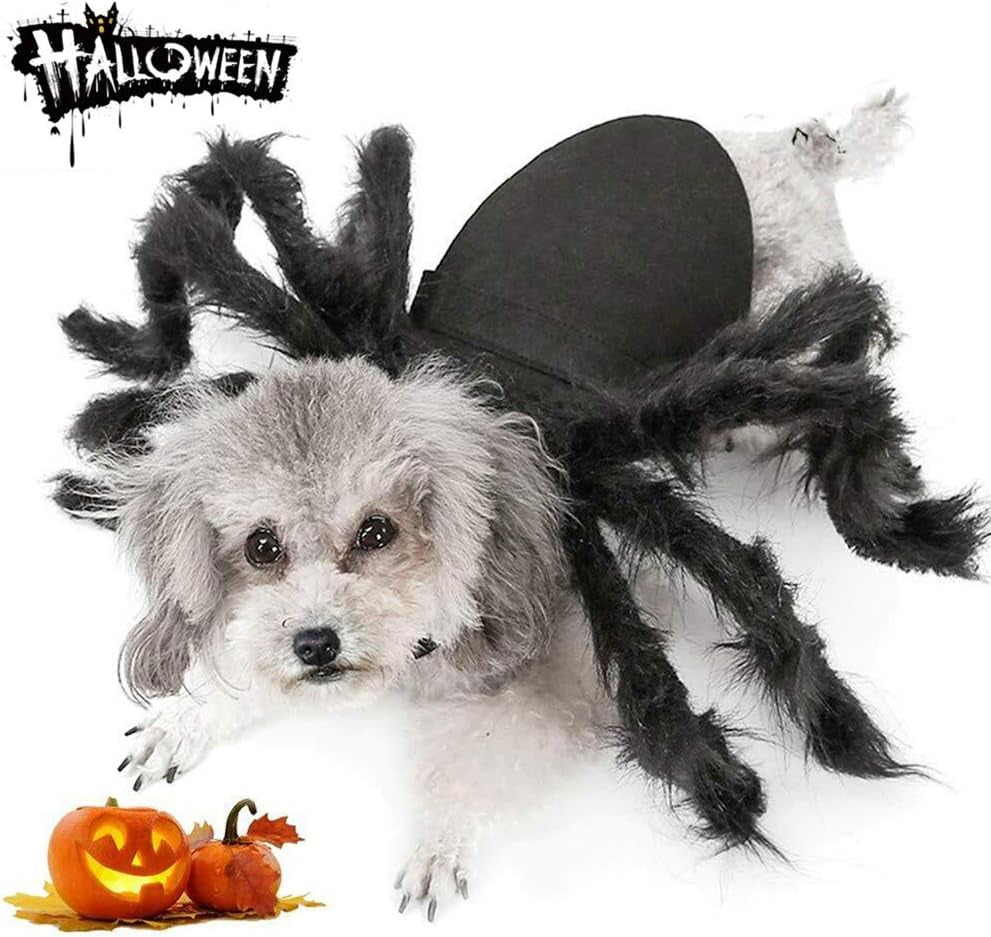 Fuzzy Spider Pet Costume
