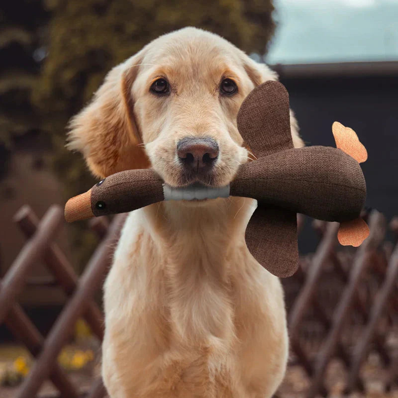 Durable Dog Toys (Buy 1 Get 1 Free Offer)